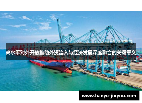 高水平对外开放推动外资流入与经济发展深度融合的关键意义